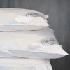 First class white goose pillow