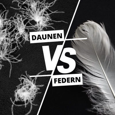 Down vs. feathers - the inner workings of duvets &amp; pillows | The big comparison